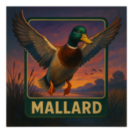 Pôster Mallard Poster