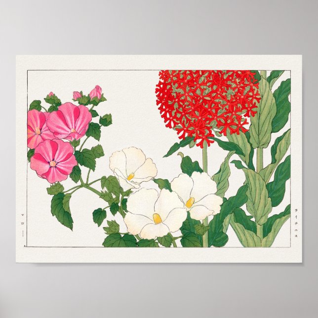 Poster Mallow, Centranthus, por Tanigami Konan (Frente)