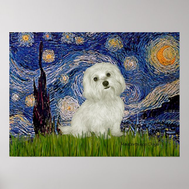 Poster Maltês 11 - Starry Night (Frente)