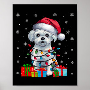 Poster Maltês Cachorro Feio Xmas Ilumina Santa Hata Cacho