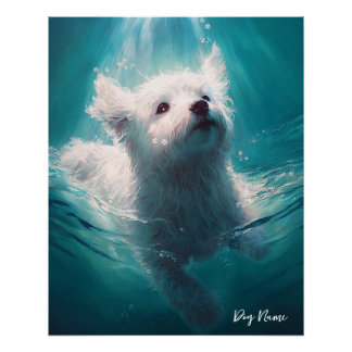 Pôster Maltese dog swimming in water 003