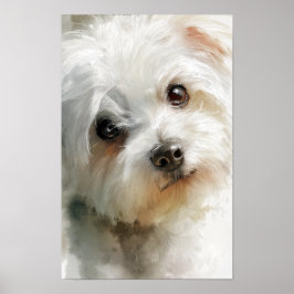 Poster Maltese dog watercolor portrait
