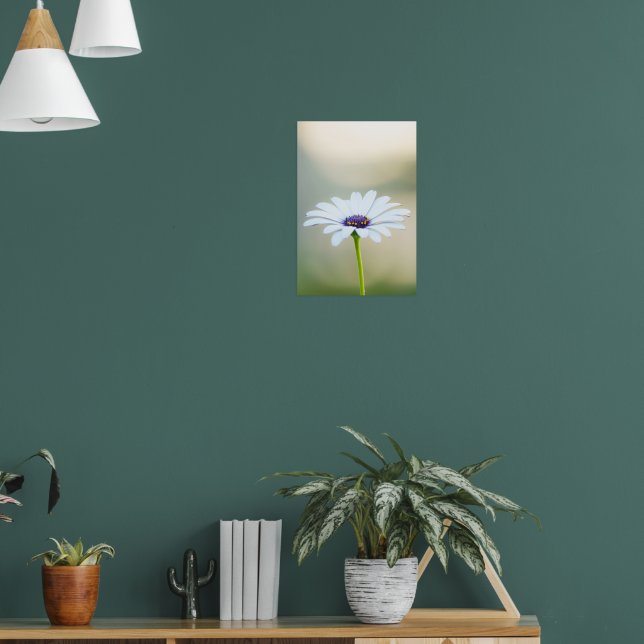 Poster 🌼 Maltese Serenity (Sala de Estar 1)