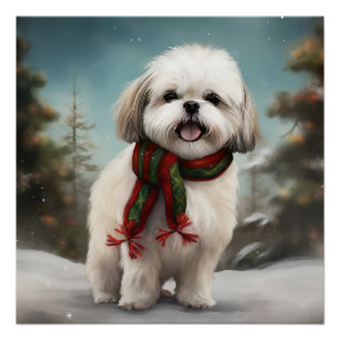 Pôster Malti Tzu Dog no Natal da Neve