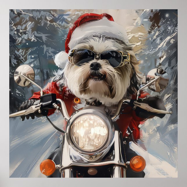 Poster Malti Tzu Dog Roda Moto Natal (Frente)