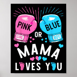 Poster Mamãe Rosa Ou Azul Ama Você Boxando O Gênero Revea