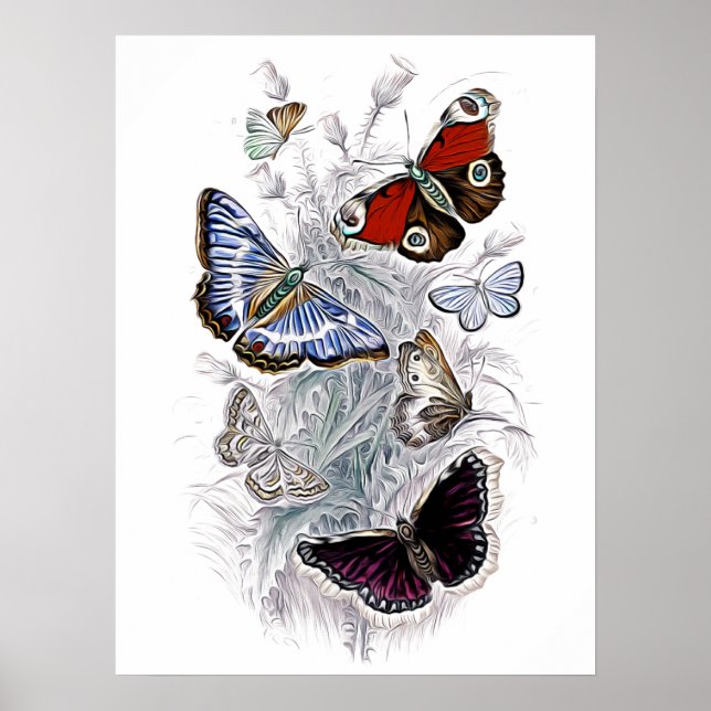 Poster mamão (Frente)