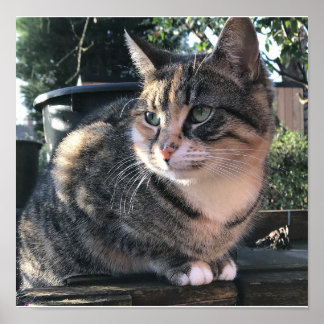 Poster Mamma de Ruby, Sra. Ribby