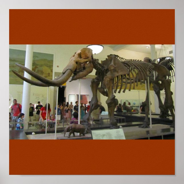 Pôster Mamute! (Frente)