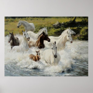 Pôster Manada de cavalos, Papel afixar (mate)