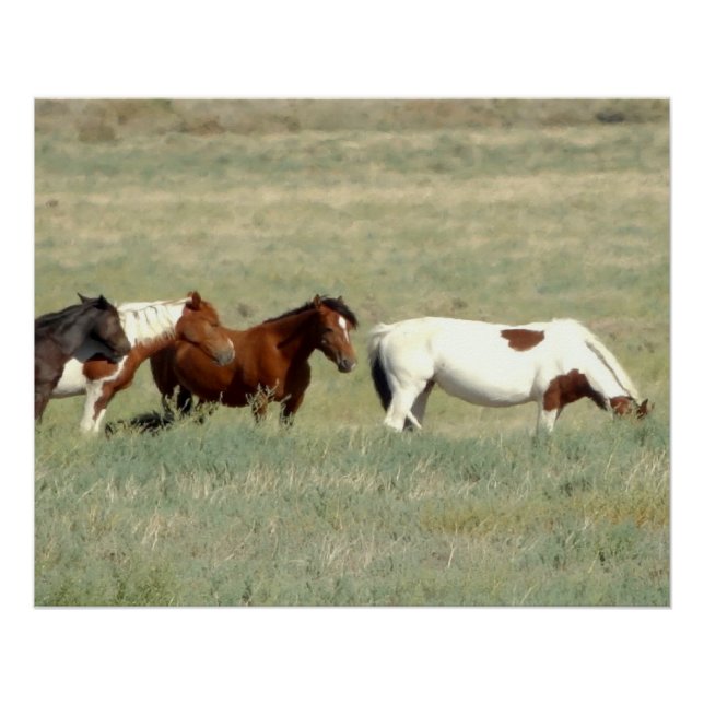Pôster Manada de cavalos selvagens (Frente)