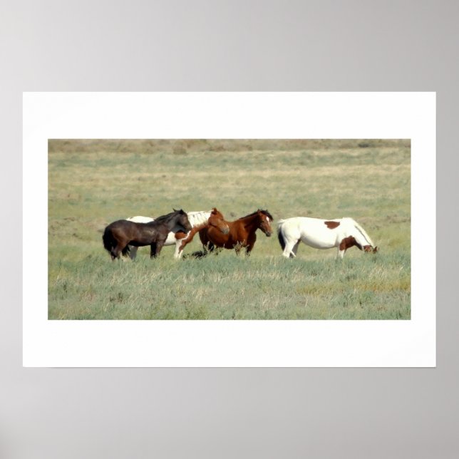 Poster Manada de cavalos selvagens (Frente)