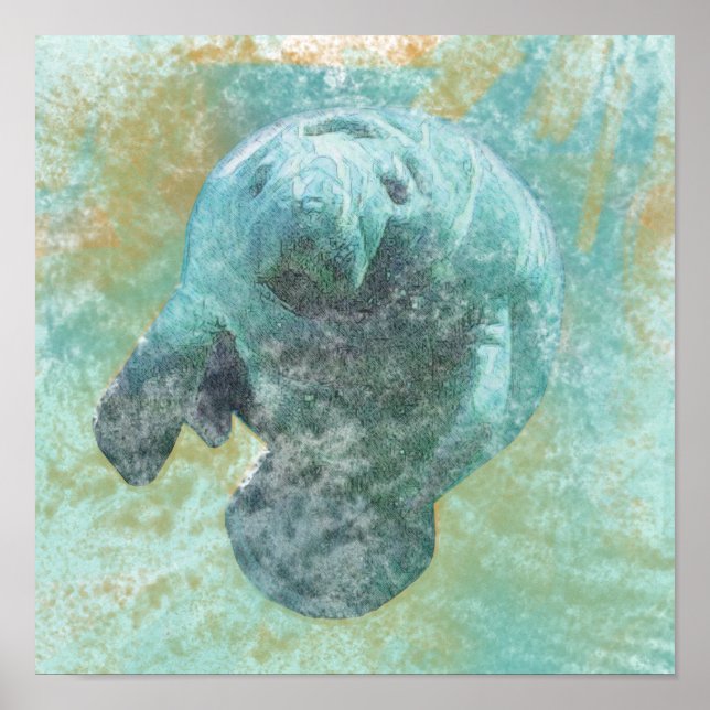 Poster Manatee Sea Cow Art Print (Frente)
