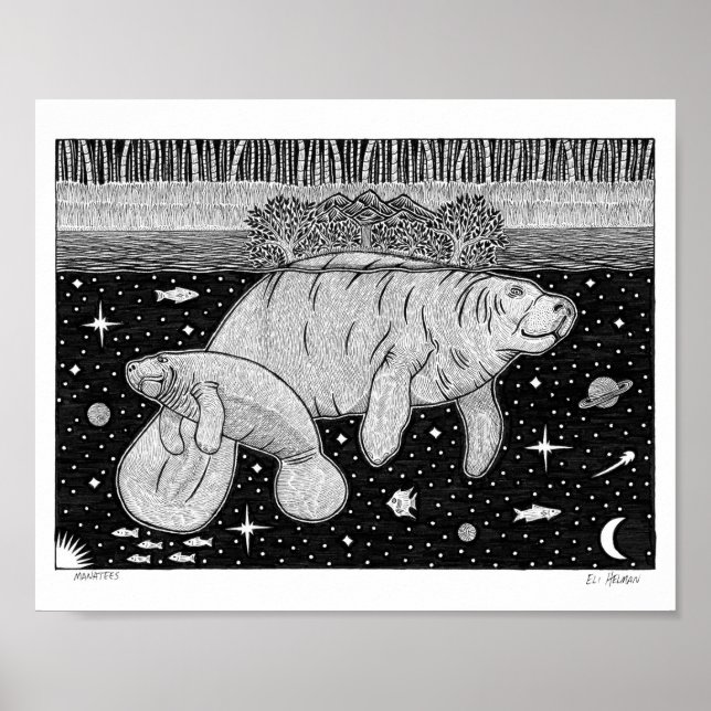 Poster Manatees (Frente)