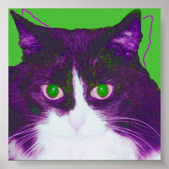 Poster Mancha (Frente)