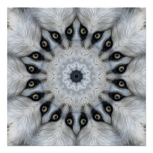 Pôster Mandala de Lobo Olhos Ferozes e Simetria Peluda