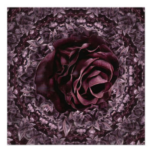 Pôster Mandala de Rosa 