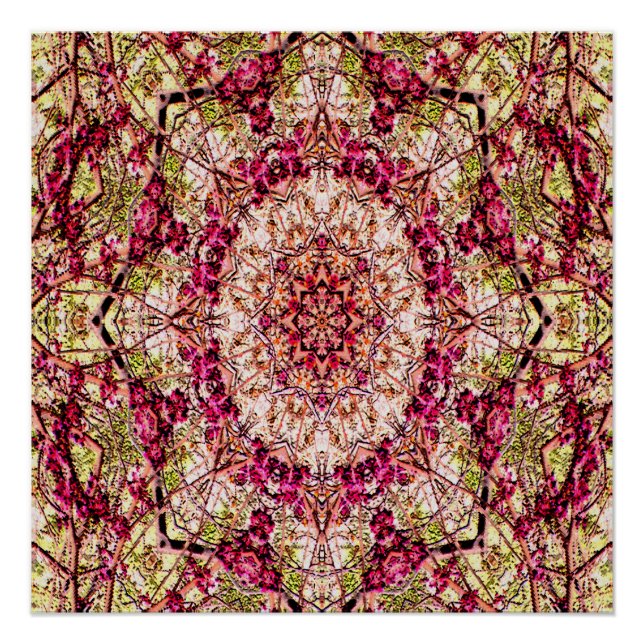 Pôster Mandala do Broto Vermelho... (Frente)