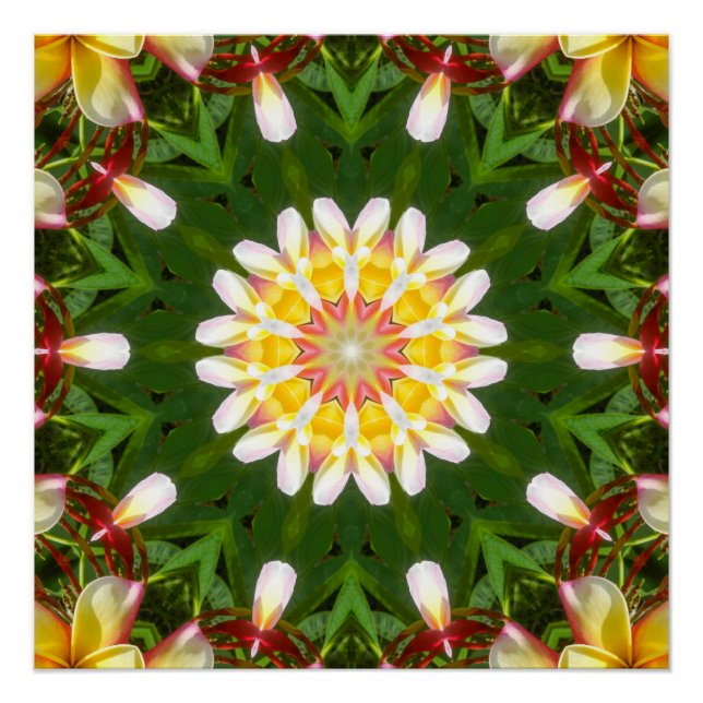 Pôster Mandalas de Flor de Plumeria com Simetria Tropical (Frente)