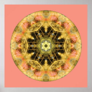 Pôster Mandalas from the Heart of Transformation, No. 4