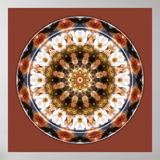 Pôster Mandalas of Deep Trust, n.o 11 (Frente)