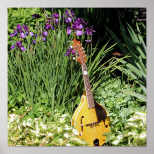 Poster Mandolin E Iris Flower Garden