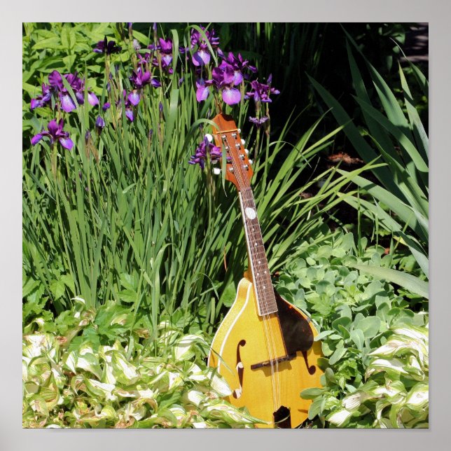 Poster Mandolin E Iris Flower Garden (Frente)