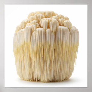 Poster Mane Mushroom de Lion
