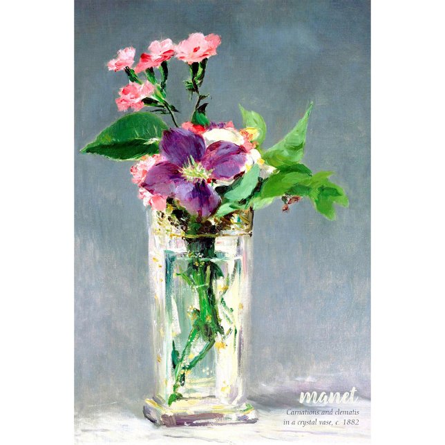 Pôster Manet Carnatis clematis CC1240 Flores bonitas (Criador carregado)