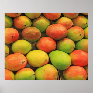 Poster Mangos, Espanha, Catalunha, Barcelona, La Bocaria
