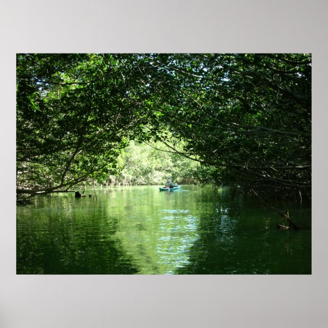 Poster Mangrove Kayaking (Frente)
