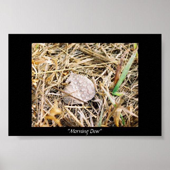 Pôster Manhã (Frente)