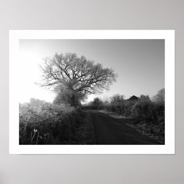 Poster Manhã Congelada: Cheshire (Frente)