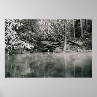 Poster Manhã da cinza