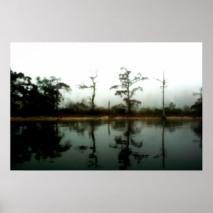 Pôster Manhã do pântano de Louisiana