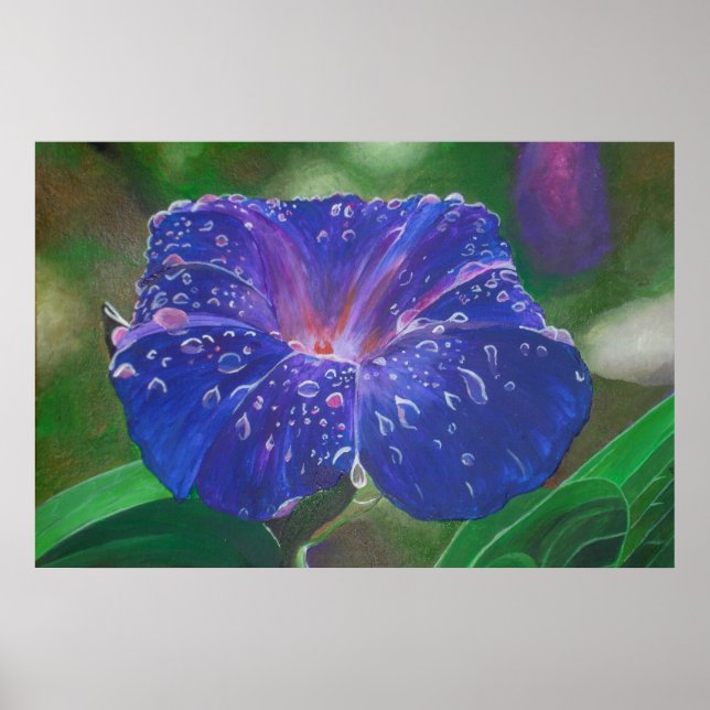 Poster Manhã Glória (Ipomoea Purpurea) Petais e Dew Dr. (Frente)