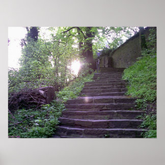 Pôster Manhã Lá Em Cima