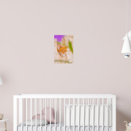 Poster Manhã Maltesa Curiosa