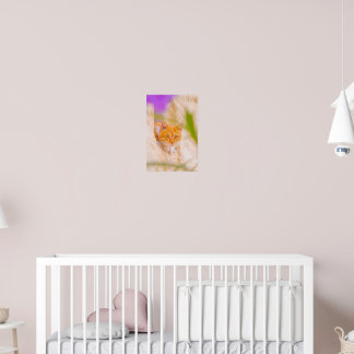 Poster Manhã Maltesa Curiosa