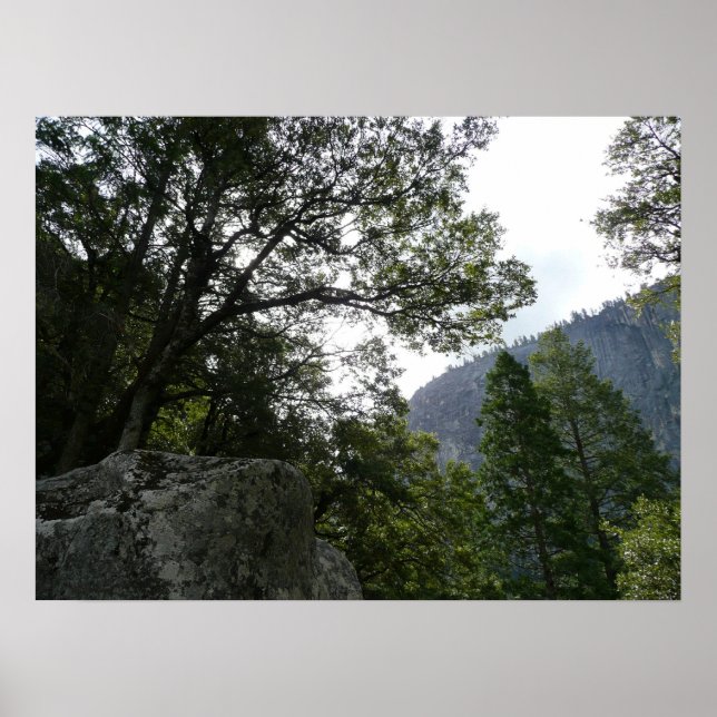 Poster Manhã na trilha para as quedas vernais em Yosemite (Frente)