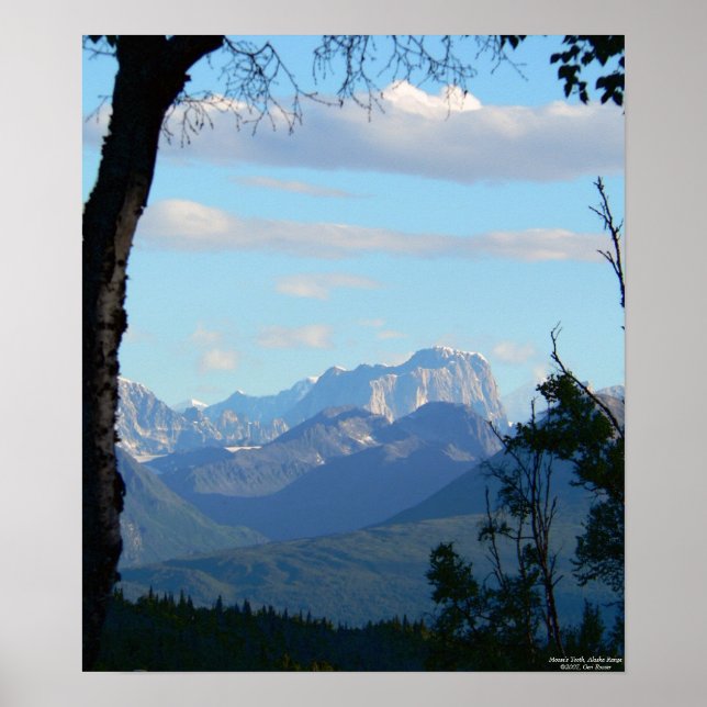 Pôster Manhã no dente de Moose (Frente)