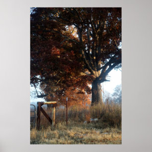 Poster Manhã no Tennessee