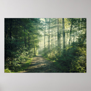 Poster Manhã Sunny de outubro em Hamburgo