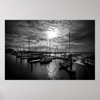 Poster Manly Yacht Club in Dramatic Black and White