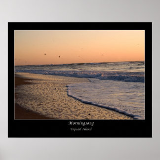 Pôster Manning Song