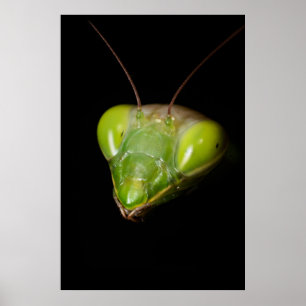 Poster Mansite de oração