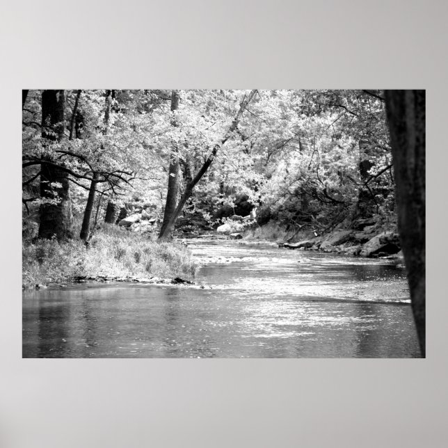 Pôster Mansker Creek (Frente)