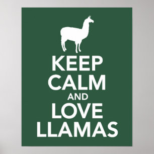Poster Mantenha a calma e os lamas do amor imprimem ou