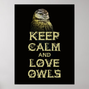 Poster Mantenha a coruja da calma e do original do