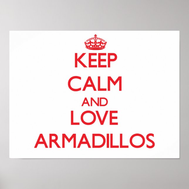 Pôster Mantenha calma e ame Armadillos (Frente)